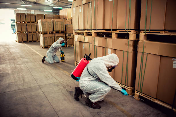 Best Local Pest Control Services  in Greilickville, MI