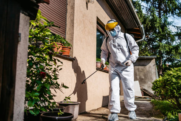 Best Cockroach Control Services  in Greilickville, MI