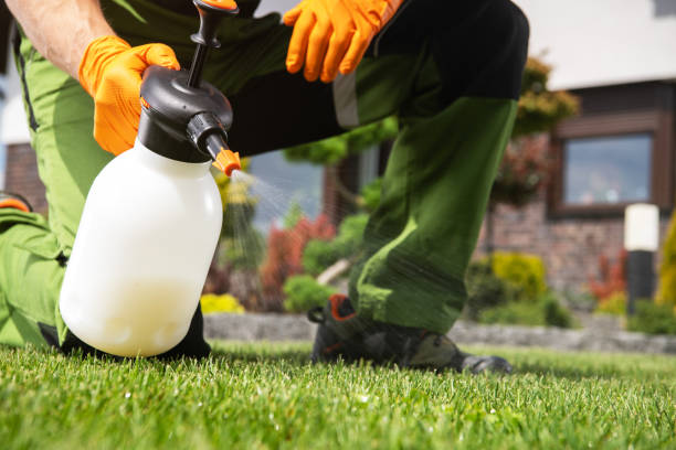 Best Emergency Pest Control  in Greilickville, MI