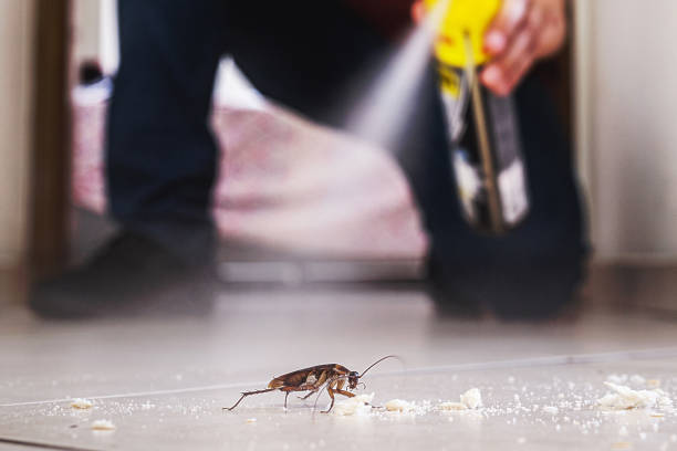 Flea Control Services in Greilickville, MI