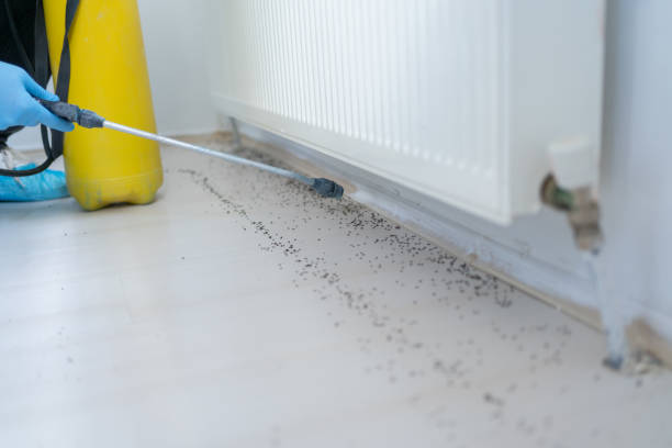 Best Wildlife Control Services  in Greilickville, MI